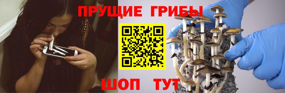 Псилоцибиновые грибы Magic Shrooms Алейск