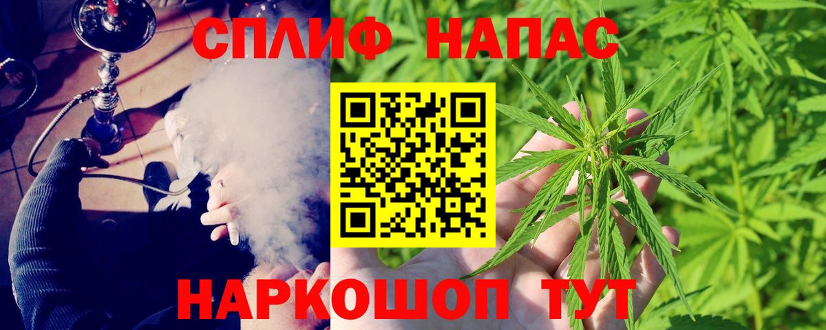Каннабис семена Алейск